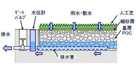 高排水緑化工法の断面構成図